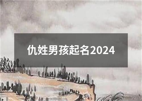 仇姓男孩起名2024