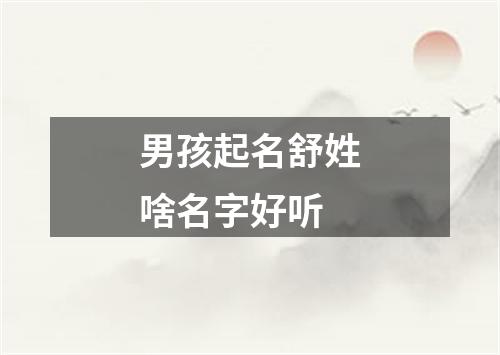 男孩起名舒姓啥名字好听