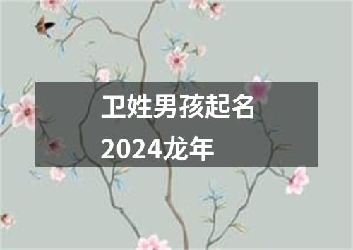 卫姓男孩起名2024龙年