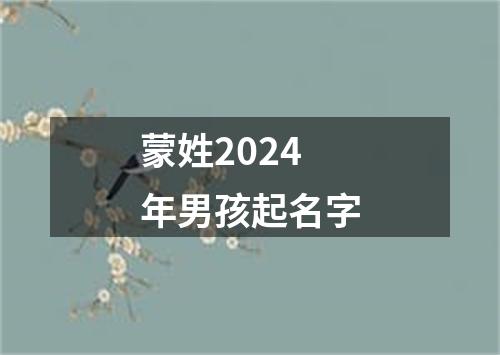 蒙姓2024年男孩起名字