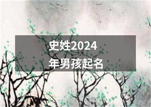 史姓2024年男孩起名