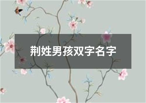 荆姓男孩双字名字