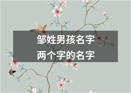 邹姓男孩名字两个字的名字