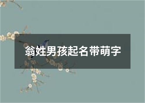 翁姓男孩起名带萌字