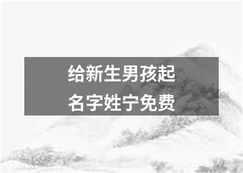 给新生男孩起名字姓宁免费