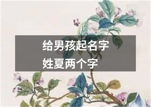 给男孩起名字姓夏两个字