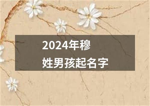 2024年穆姓男孩起名字