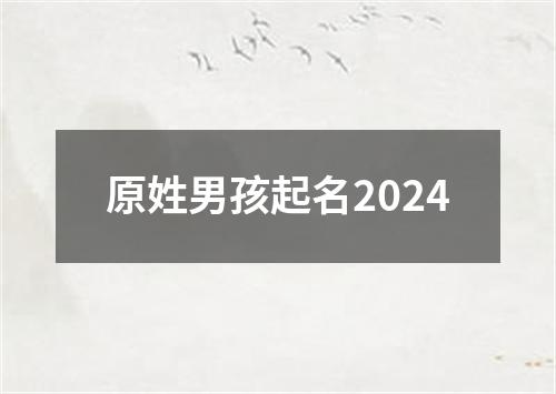 原姓男孩起名2024