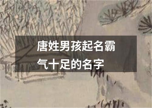 唐姓男孩起名霸气十足的名字