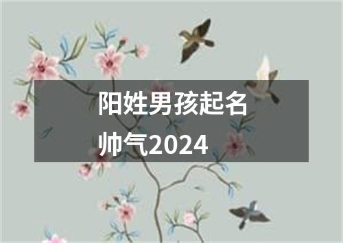 阳姓男孩起名帅气2024