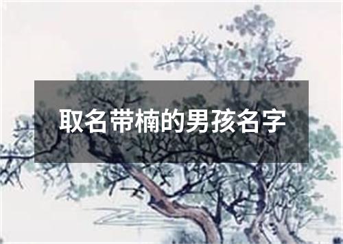 取名带楠的男孩名字