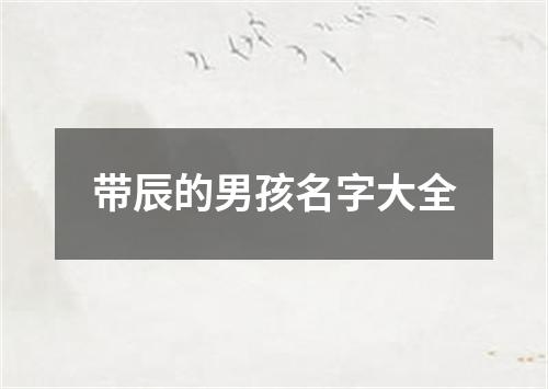 带辰的男孩名字大全