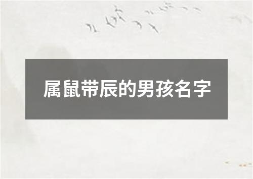 属鼠带辰的男孩名字