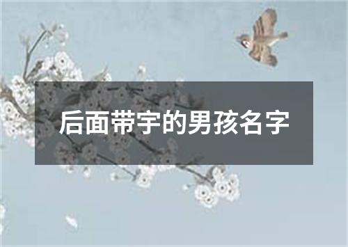 后面带宇的男孩名字