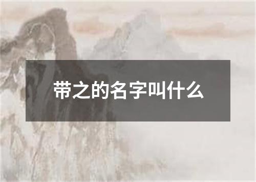 带之的名字叫什么