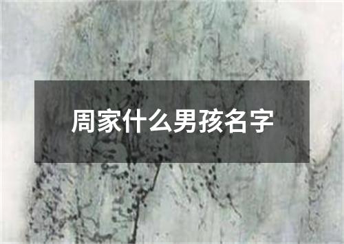 周家什么男孩名字