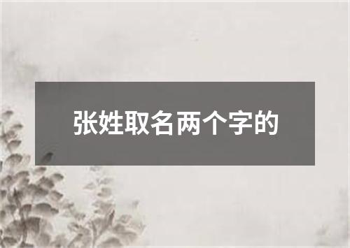 张姓取名两个字的