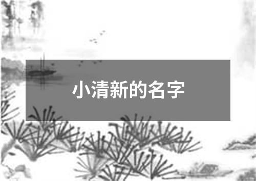 小清新的名字