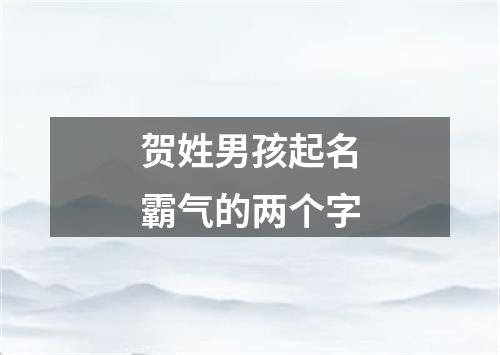 贺姓男孩起名霸气的两个字