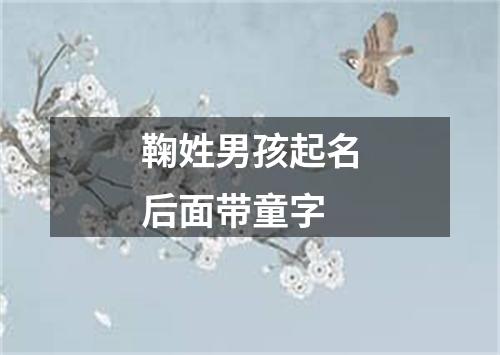 鞠姓男孩起名后面带童字