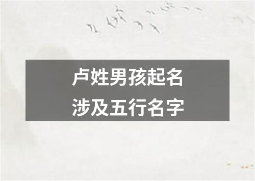 卢姓男孩起名涉及五行名字