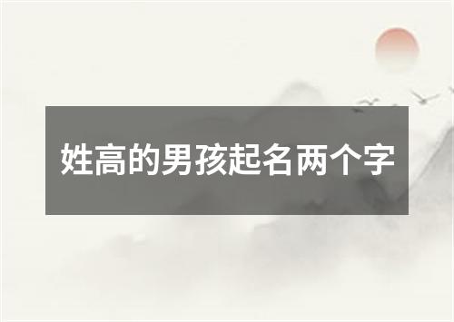 姓高的男孩起名两个字