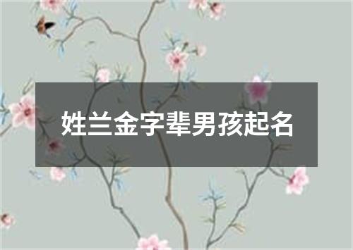 姓兰金字辈男孩起名