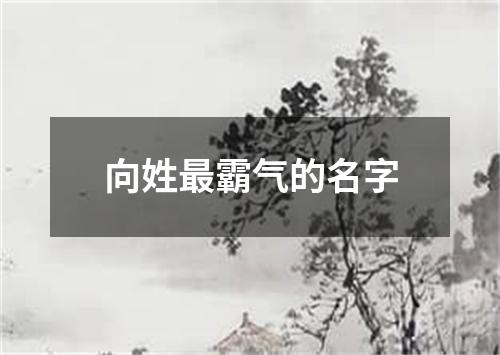 向姓最霸气的名字