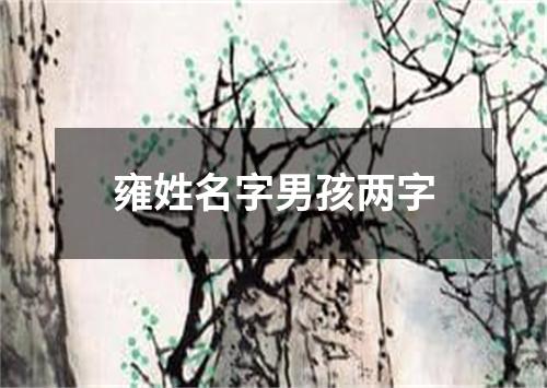 雍姓名字男孩两字