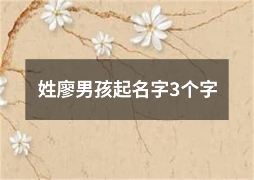 姓廖男孩起名字3个字