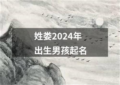 姓娄2024年出生男孩起名