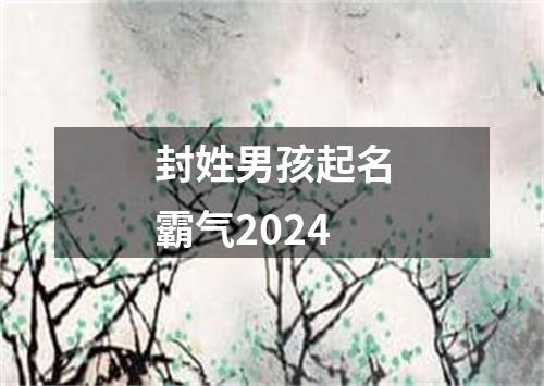 封姓男孩起名霸气2024