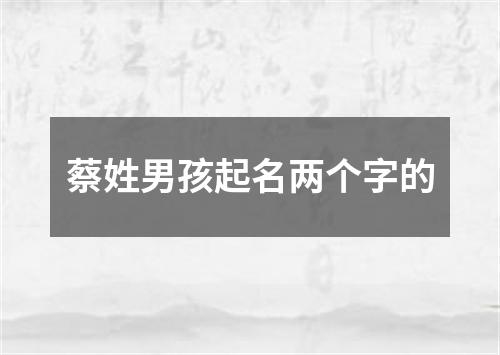 蔡姓男孩起名两个字的