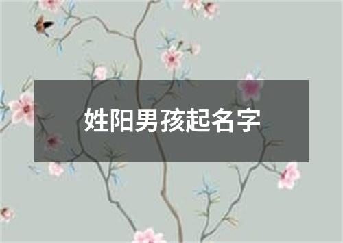 姓阳男孩起名字