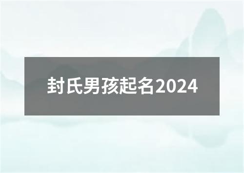 封氏男孩起名2024