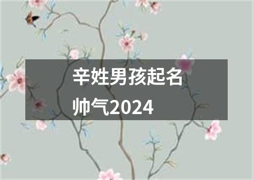 辛姓男孩起名帅气2024