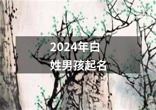 2024年白姓男孩起名