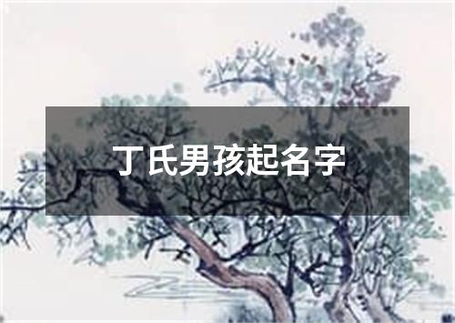 丁氏男孩起名字