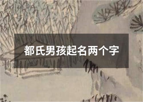 都氏男孩起名两个字