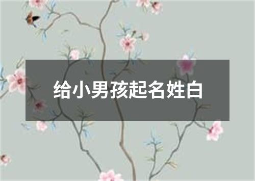 给小男孩起名姓白