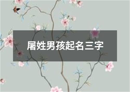 屠姓男孩起名三字