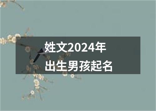 姓文2024年出生男孩起名