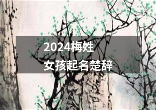 2024梅姓女孩起名楚辞