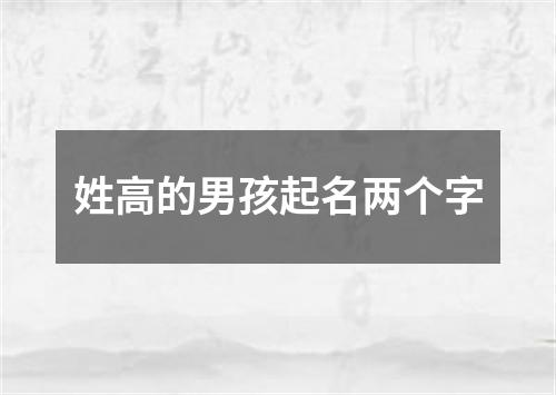 姓高的男孩起名两个字