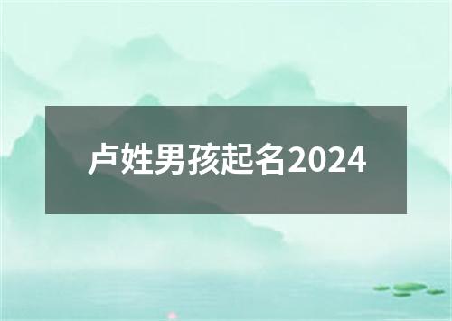 卢姓男孩起名2024