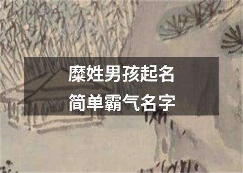 糜姓男孩起名简单霸气名字