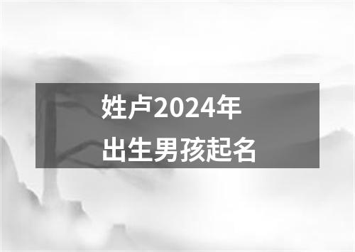 姓卢2024年出生男孩起名