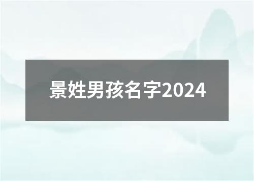 景姓男孩名字2024