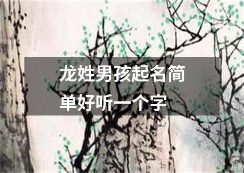 龙姓男孩起名简单好听一个字