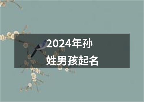 2024年孙姓男孩起名